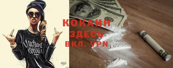 винт Абаза