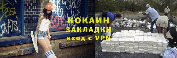 винт Абаза
