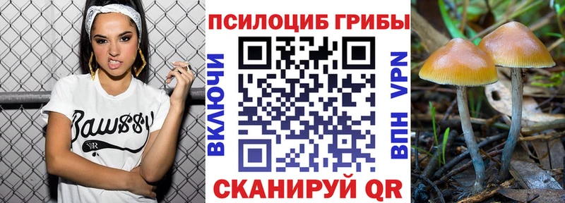 kraken tor Приморско-Ахтарск Галлюциногенные грибы Psilocybe