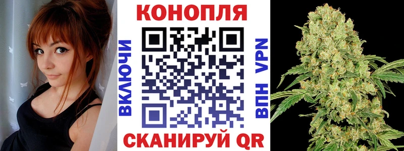 Шишки марихуана план Приморско-Ахтарск